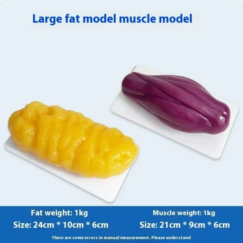 Human Muscle and Fat Replicas  - огляд і ціна Nutrition Fitness And Health